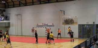 Briljantni vratar Gošić