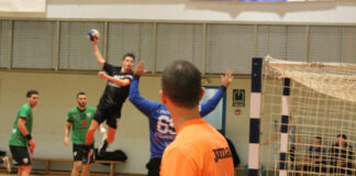 Rapsodija mladosti Rudara