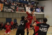 Čvrsti bedem Gorice